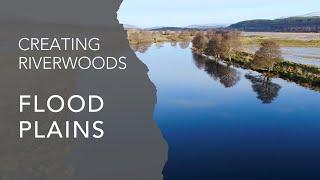 Creating Riverwoods: Floodplains