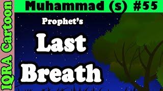 Final Episode: Last Breath | Prophet Stories Muhammad (s) Ep 55 | Islamic Cartoon | Quran Stories