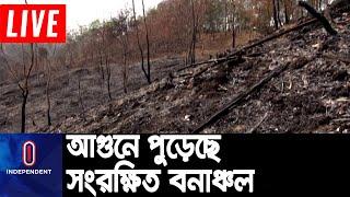 সামাজিক বনায়নের জন্য প্রাকৃতিক বন ধ্বংসের অভিযোগ উঠেছে বন বিভাগের বিরুদ্ধে || Moulovibazar Forest