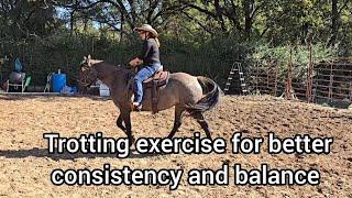 Trotting exercise to build Consistency and Balance at a trot - using a Side Pull Bitless  Bridle