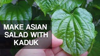 I GROW KADUK FOR THIS SALAD RECIPE | Leaf-wrapped Asian Salad Bites