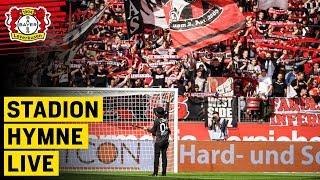 MIT DEM KREUZ AUF DER BRUST | Offizielle Hymne (live) | Dirk Maverick | Bayer 04 Leverkusen