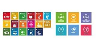 The CGF and the Sustainable Development Goals