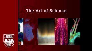 The Art of Science