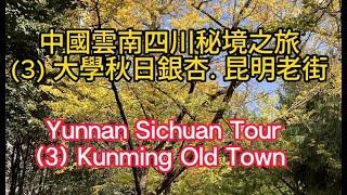 Yunnan Sichuan Unexplored Tour (3) Kunming Old Townr; 雲南四川秘境之旅 (3):(3) 大學秋日銀杏. 昆明老街