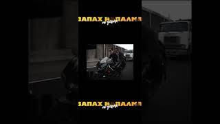 Ищи весь выпуск на канале "Запах напалма по утрам"