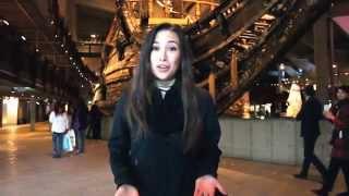 Vasa Museum: Stockholm, Sweden - Travel Blog (RTW #8)