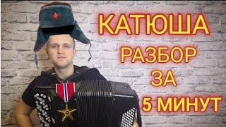 Катюша на баяне. Обучение. Урок номер 1