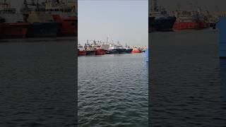 Hamariya post in dubai ship shirts video #tranding #explore #supply #automobile #reels #fyp #shorts