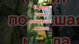  #shortsУ нас опять не летная погода 