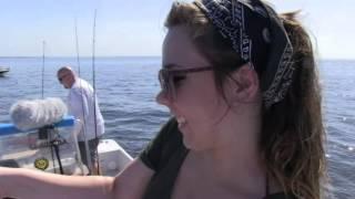 Waterline Magazine presents Charlotte Harbor Shark Fishing, Hammerhead