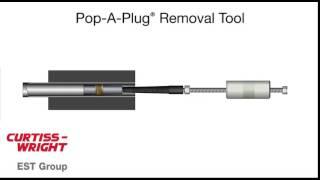 Pop-A-Plug® Removal Tool