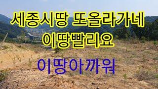 세종시장군면첫마을5분거리금암리싼땅토지또올라가네아깐운땅여기평당120만원