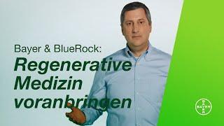 Bayer & BlueRock: Regenerative Medizin voranbringen