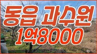 창원토지매매 N202472 동읍 용강리 1억8000 1,326㎡ 401평 과수원 30~40그루 감나무식재