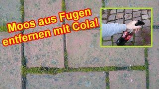 Moos aus Fugen entfernen & verhindern mit Cola  – Moos bei Pflasterfugen bekämpfen Anleitung