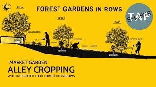 FOREST GARDEN HEDGEROWS | MARKET GARDEN ALLEY CROPPING | TAP SHORTS
