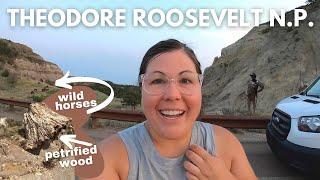 The MOST UNDERRATED National Park YOU Need to Visit THIS Summer! Theodore Roosevelt National Park