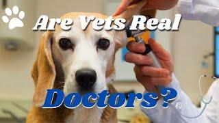 Are Vets Real Doctors?