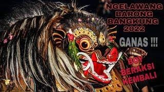 BARONG BANGKUNG SUPER BESAR BOY BERAKSI KEMBALI/ NGELAWANG BARONG BANGKUNG GALAK 2022