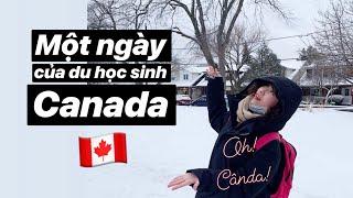 Một Ngày Của Du Học Sinh Canada | A Day In My Life | Vlog | Diệu Linh 