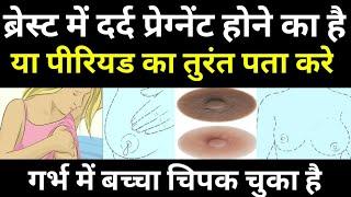 1 सेकंड में पता करें प्रेगनेंट है या फिर पीरियड आने वाले हैं|Period or Pregnancy symptoms|Pregnancy|