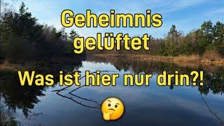 Geheimer Waldteich hier war noch niemand Angeln!  Natur Erlebnis| Teil 1