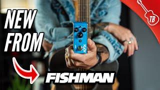 Fishman AFX Mini Delay & Chorus Pedals - ULTIMATE GUIDE