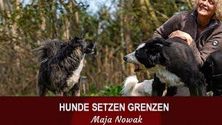 Hunde setzen Grenzen - von Maja Nowak