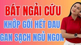 Mỗi tối 1 bát ngải cứu – Khớp gối hết đau, gan sạch, ngủ ngon? Đó có phải sự thật?