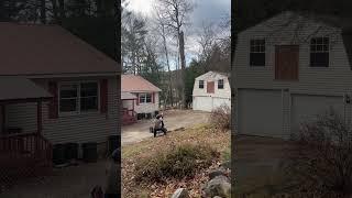 Near miss, 70 foot oak tree falling, perfect landing. #arborist #trees