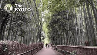 【4K】Walking through Arashiyama and Bamboo Grove Path to Togetsukyo Bridge in Kyoto, Japan