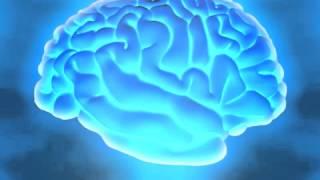 Brain food | Super learning fast skills for memory recall, study exams