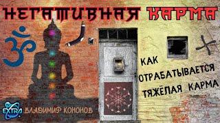 Владимир Кононов: Пять элементов негативной кармы | Путь к совершенству