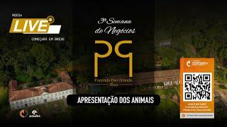 Live de Apresentação dos Animais 3ª Semana de Negócios Haras Pao Grande