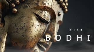 Bodhi Mind | Ambient Music for Yoga Meditation and Relaxing | Healing and Stress Relief