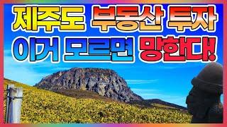 제주도 부동산 투자!  주의해야 될 점!  투자 추천지역!  향후 가치가 나갈 지역!