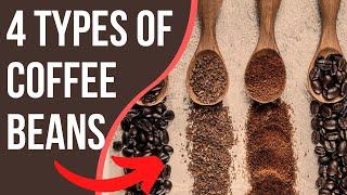 4 Types Of Coffee Beans You NEED To Know | Coffee Buzz Club |