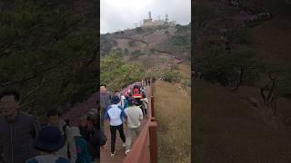 인천 강화도 고려산 진달래 축제 등산 인파 (하이퍼랩스)