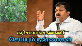 உடலை உறுதியாக்கும் கரிசலாங்கண்ணி பயன்கள் | Dr.Sivaraman speech on Karisalaanganni