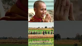 Awakening – A Spiritual Journey with Venerable Thich Minh Tue ️