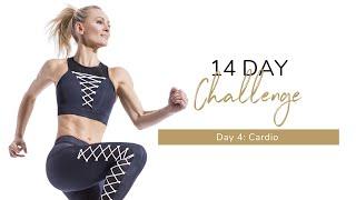 14 Day BBS Challenge - Day 4: Cardio