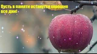 Прощай, осень! Красивое поздравление с последним днем осени 30 ноября! Музыкальная видео открытка!