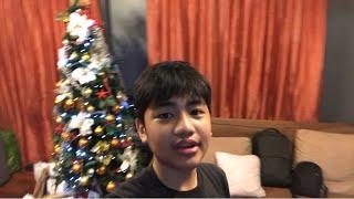 VLOG#23 Christmas Vlog