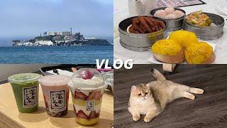 VLOG｜加州特种兵游玩记录：洛杉矶圣何塞旧金山走亲访友