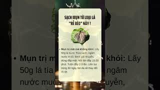 Chăm Sóc Sức Khỏe Toàn Diện – Kiến Thức Dinh Dưỡng  Lối Sống Lành Mạnh | Cộng Đồng Sức Khỏe #suckhoe