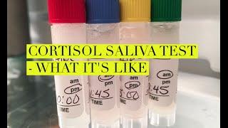 Cortisol Saliva Lab Work for Hormone Testing | What The Test Is