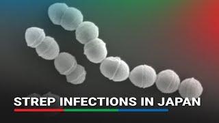 Potentially deadly strep infections rise in Japan but expert says pandemic unlikely | ABS-CBN News