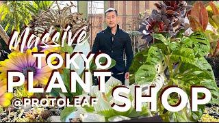 Plant🪴 Shop Walkthrough in Japan   With Knowledgable Guide | Plant PRICES Unveiled!