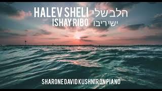 "Halev Sheli" by Ishay Ribo. Piano instrumental by ShaRone David Kushnir.